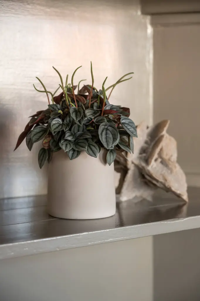 Ceramic Sofia S Funghi Beige.webp