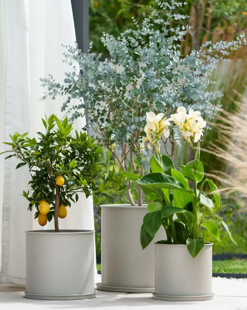 Set 3 ghivece metalice cu farfurie - Greige .webp