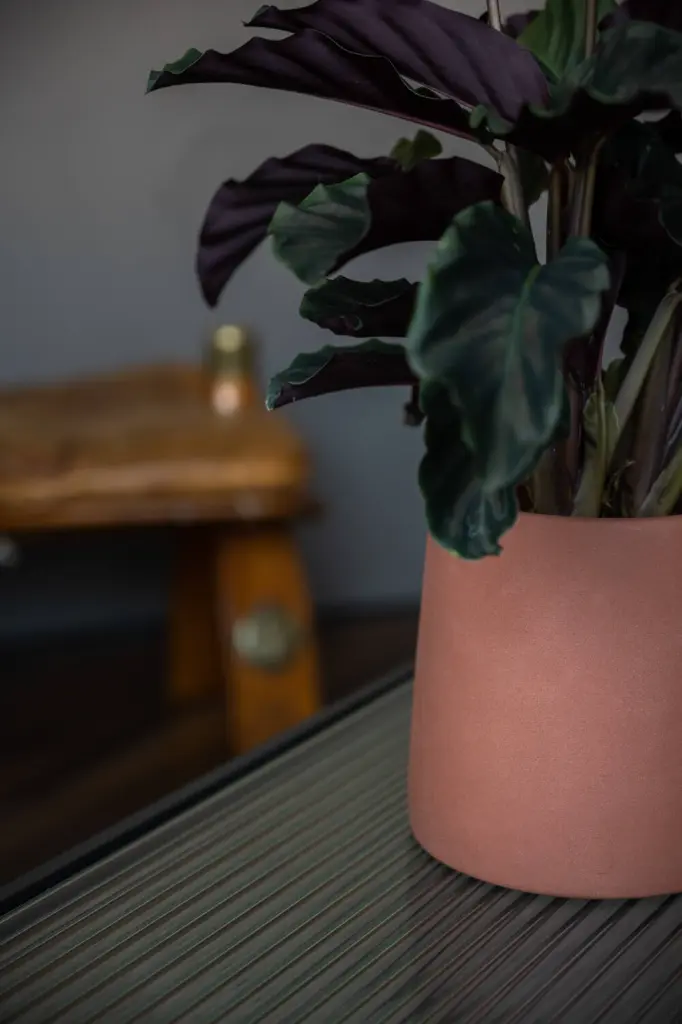 Ceramic Sofia XS, Pecan Brown2.webp