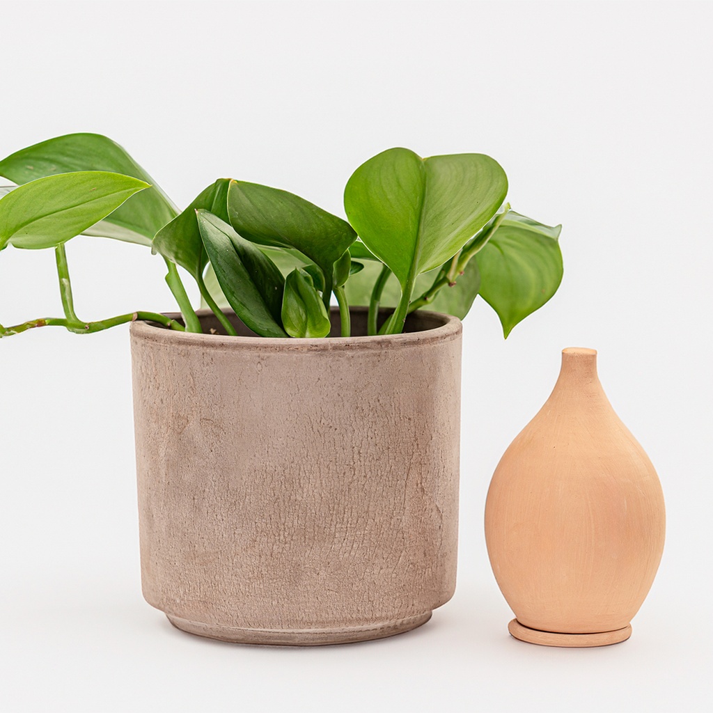 Lutoya S Original2.jpg