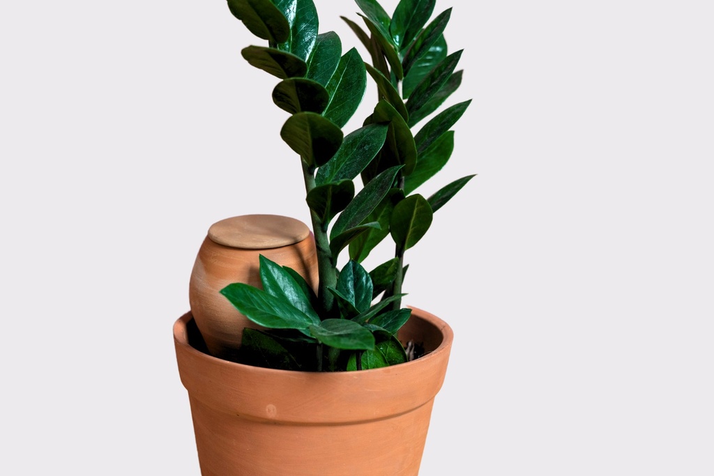 Lutoya M Traditional2.jpeg