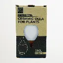 Lutoya M White4.webp