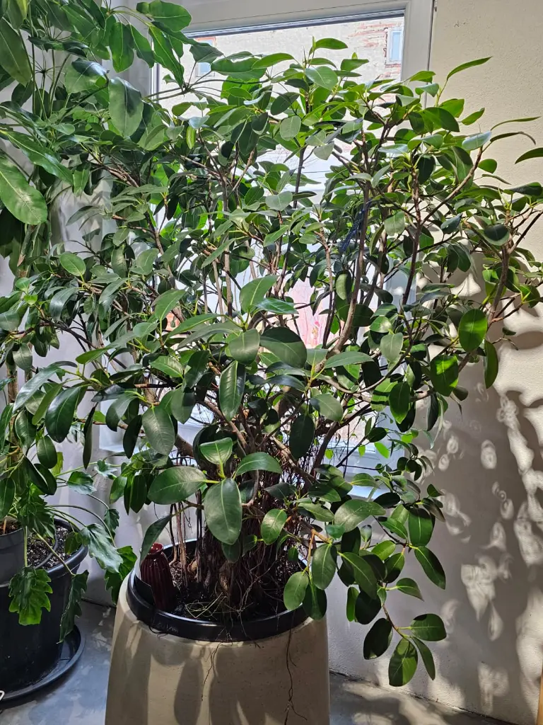 WhatsApp Image 2026-02-11 at 10.43.44 AM.webp