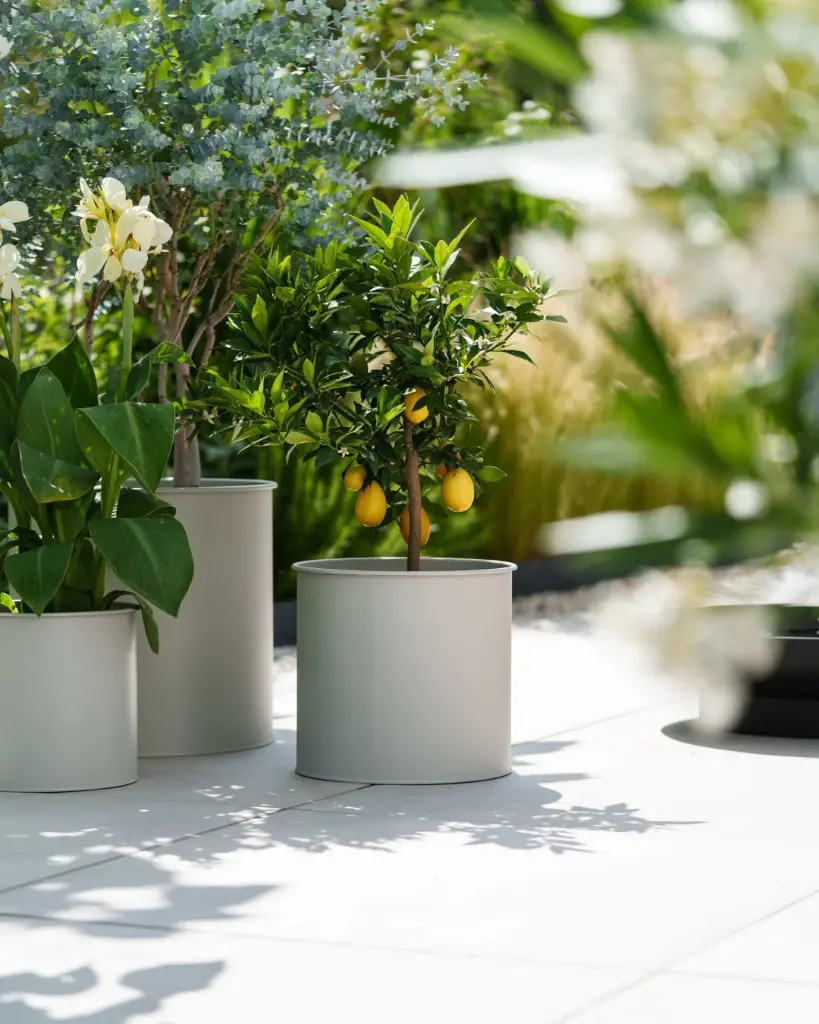 Set 3 ghivece metalice - Greige1.webp