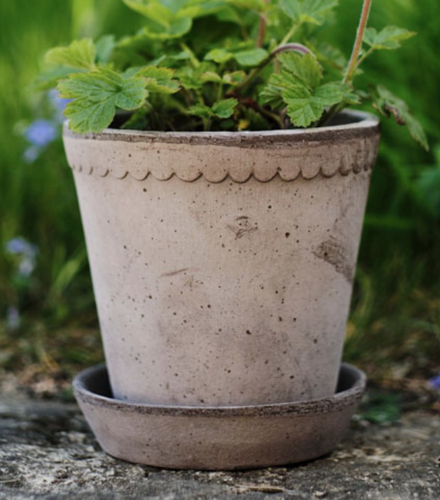 Set - Helena RAW Grey D14 H13