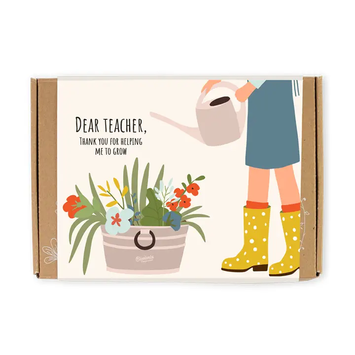 Cutie cadou - Dear Teacher - 7 bombe cu seminte  | Blossombs