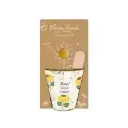 Kit plantare - Hooray - Floarea soarelui bombe | Blossombs