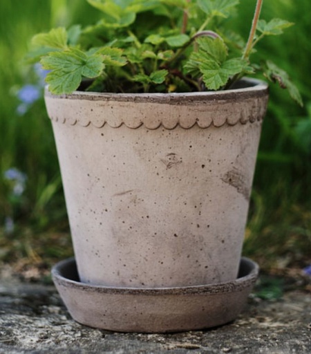 [3300013] Helena RAW Grey D14 H13incl. Saucer  | BERGS