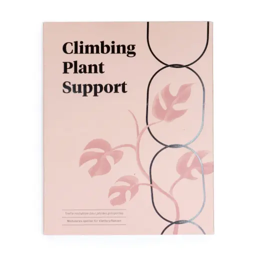 [6000552] Suport - plante agatatoare